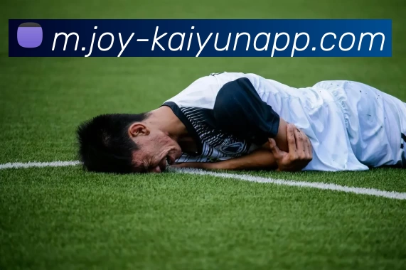 开云体育全站App